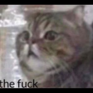 Meet your Posher, Bryan